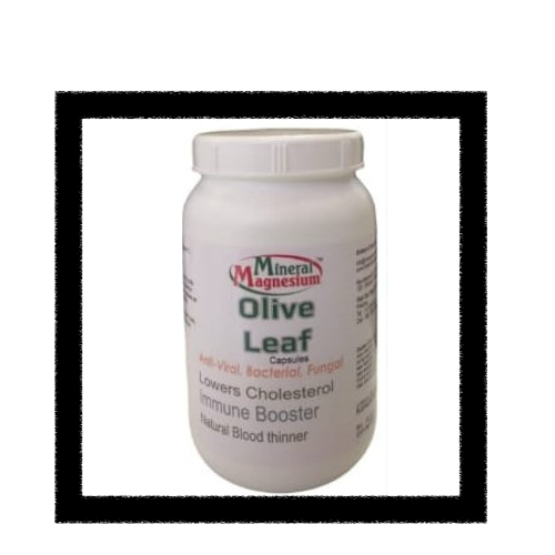 OLIVE LEAF 90 CAPSULES